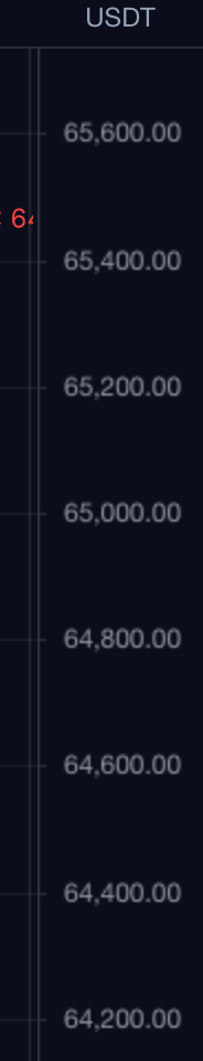 TradeScript right price scale column showing the USDT currency unit header at the top and evenly spaced numeric tick labels down the axis strip